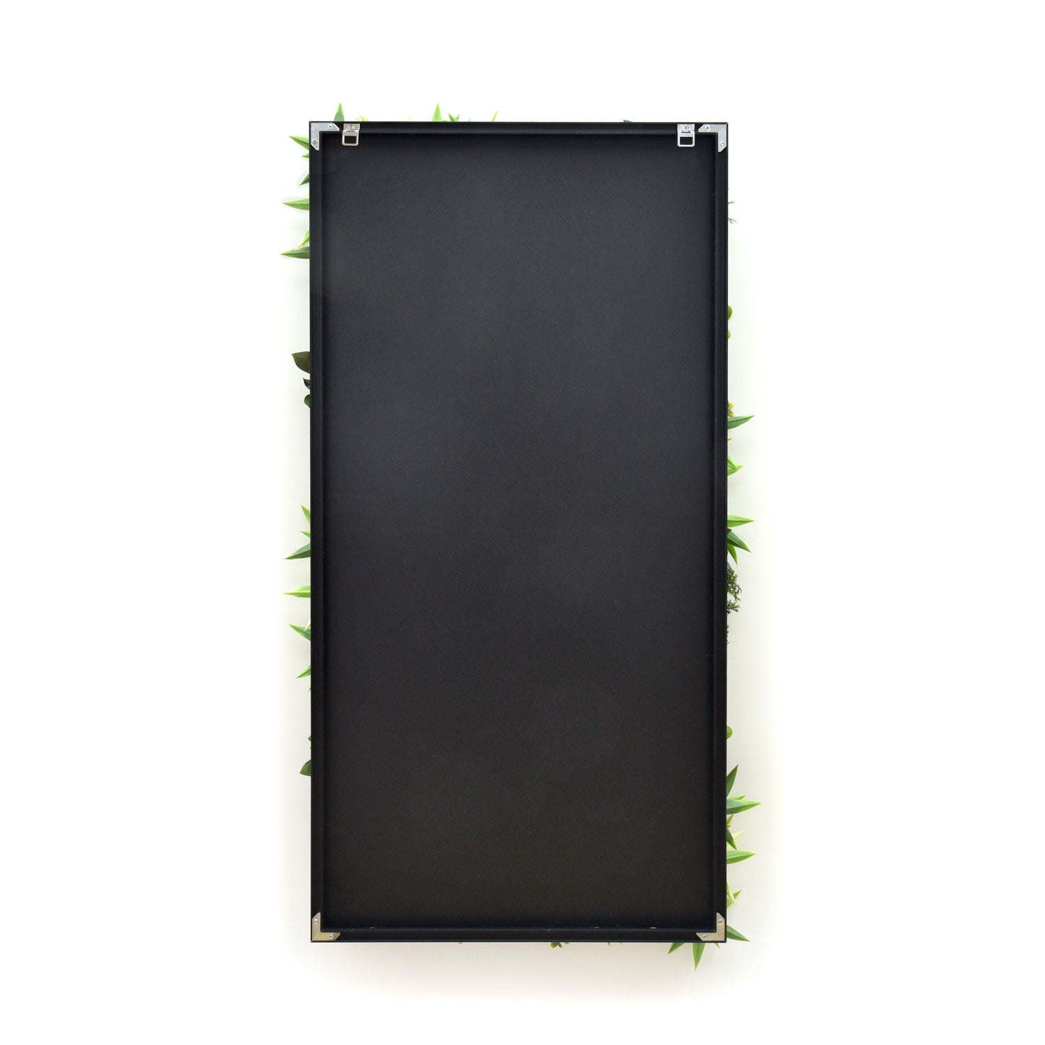 Giungla - Quadro vegetale con foglie e fiori, cornice nera in PVC, 100x50 cm