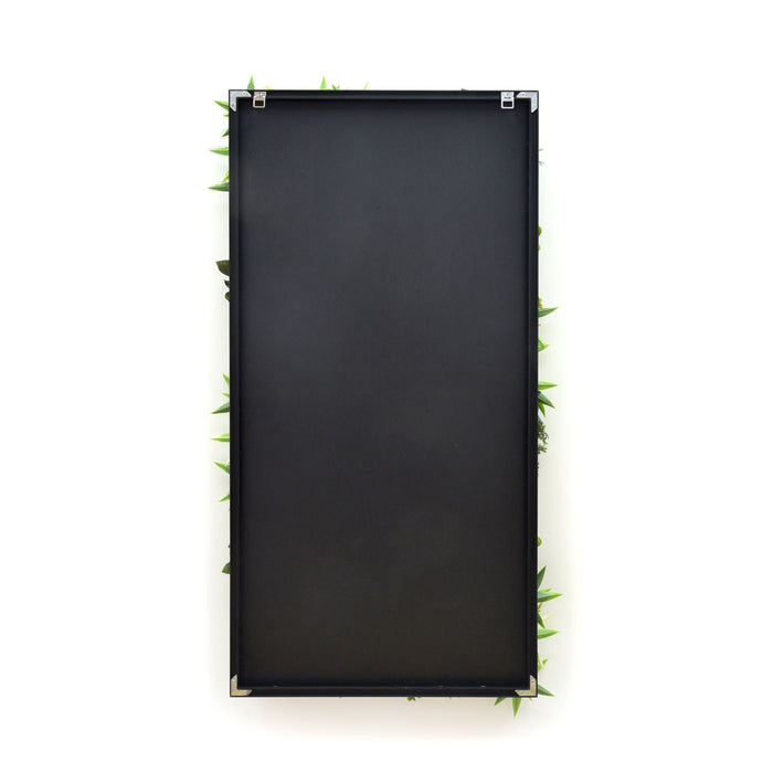 Giungla - Quadro vegetale con foglie e fiori, cornice nera in PVC, 100x50 cm