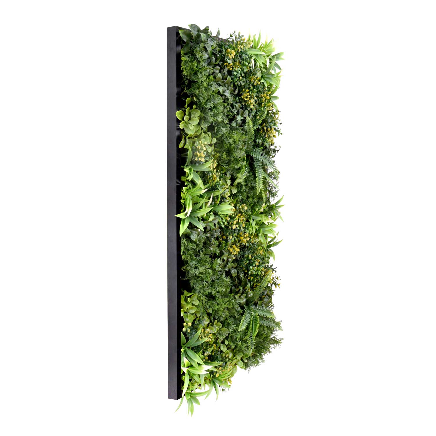 Giungla - Quadro vegetale con foglie e fiori, cornice nera in PVC, 100x50 cm