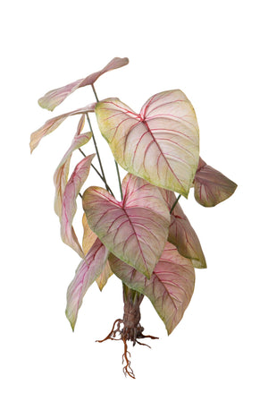 Set 2 Piante Artificiali Caladium con 12 Foglie 50 cm