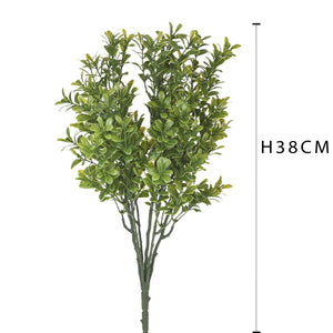 Set 8 Cespugli Bosso Buxus Ø 38 cm