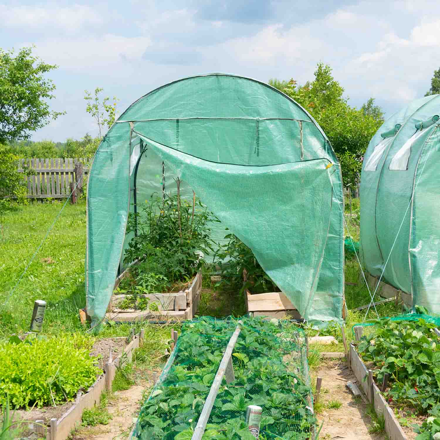 Serra da coltivazione 2.5x4 M serra da giardino con struttura a tunnel in acciaio zincato e copertura in PE retinato. Greenhouse da 10mq 250x400x190cm