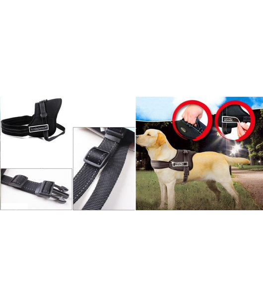 Guinzaglio Addestra Cani Imbracatura Collare Cane Sports Dog Harness Set         