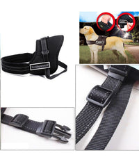 Guinzaglio Addestra Cani Imbracatura Collare Cane Sports Dog Harness Set     M    