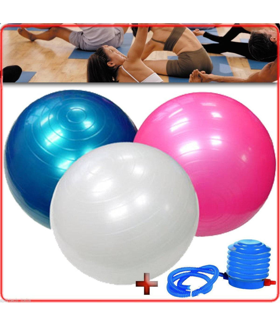 Gymball Palla Per Esercizi Addominali Yoga Pilates Fitness Palestra Diam. 55cm         