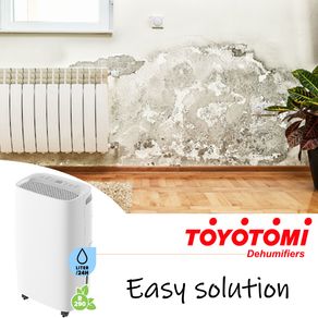 Toyotomi TD-C1412 Deumidificatore Anti-Muffa, Eccellenza Giapponese, 12 Litri per 24 Ore, Filtro carboni attivi e ruote