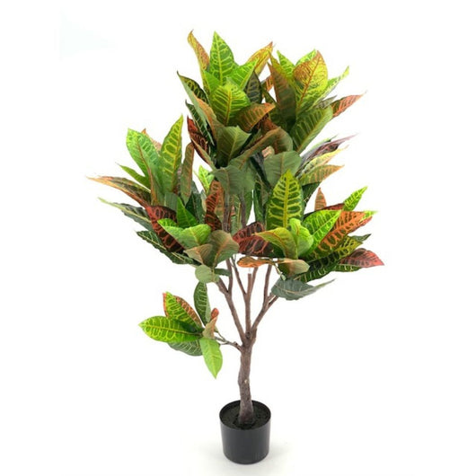 Pianta di Croton 120 cm x 134 foglie