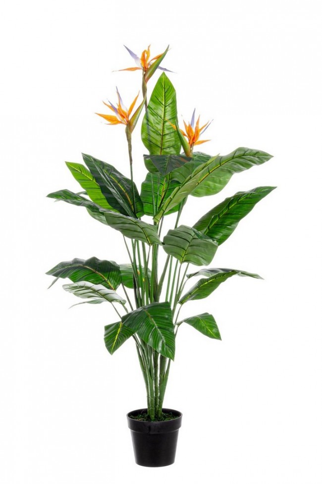 2x Pianta strelitzia 70x70x150h in plastica