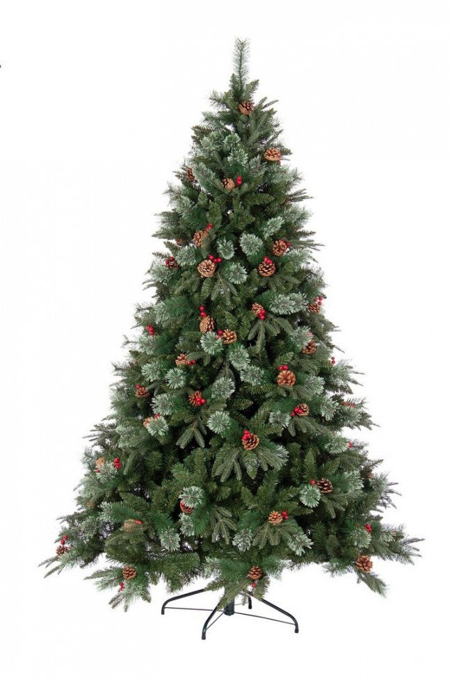 Albero Molveno C-Bacche H270-3964Rami