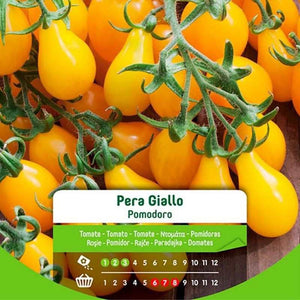 Semi Di Pomodoro Pera Giallo In Busta