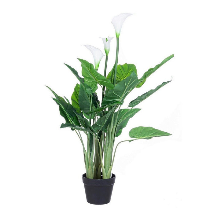 Pianta calla con vaso 27 foglie h100