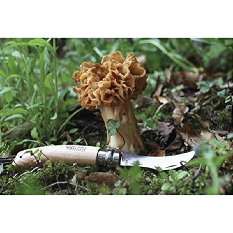 Coltello funghi con manico in legno