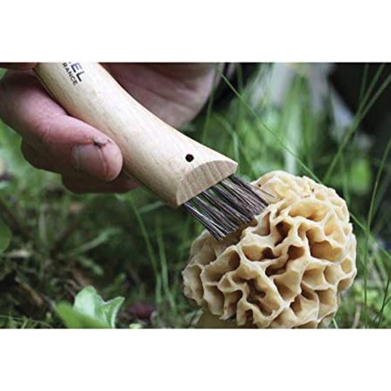 Coltello funghi con manico in legno