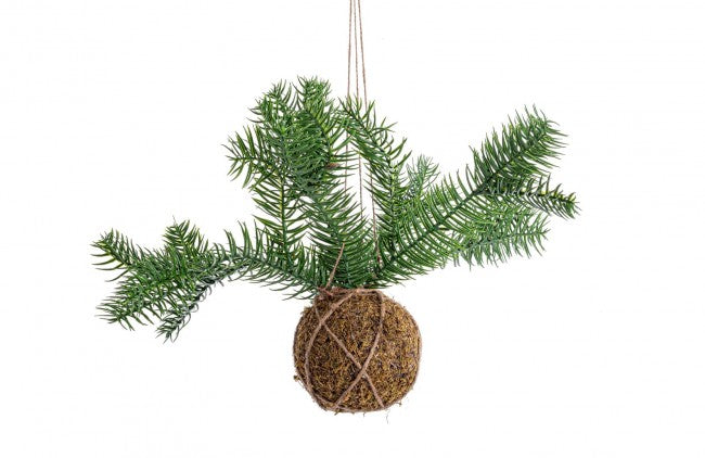 6x Decorazione Sfera Kokedama C