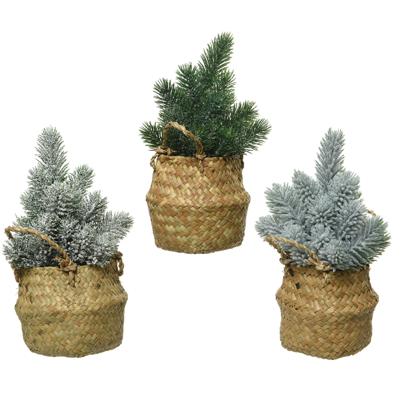 Mini alberi assortiti H 24 cm