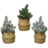 Mini alberi assortiti H 24 cm