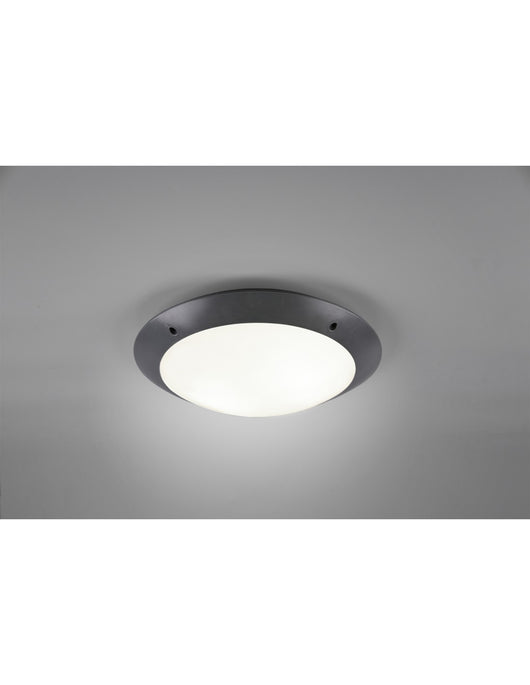 Plafoniera Da Esterno Camaro Antracite IP54 Ø33 cm Trio Lighting