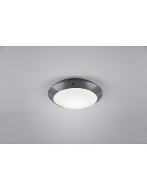 Plafoniera Da Esterno Camaro Antracite IP54 Ø26 cm Trio Lighting