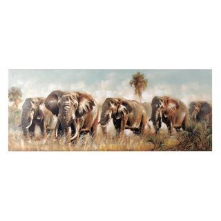 Rectangular elephant print picture cm55x135x3