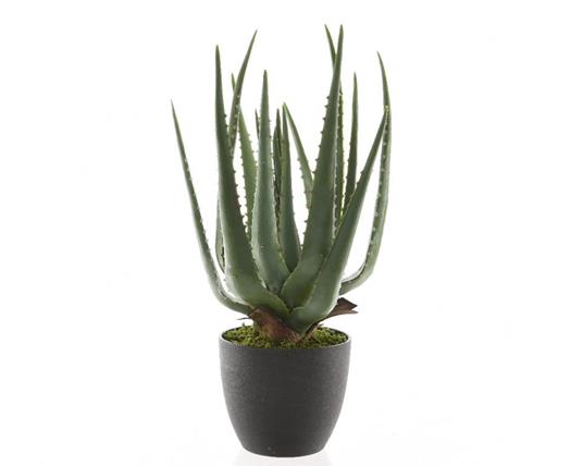 Aloe in Vaso Artificiale 40cm Verde - Accessori Decorativi per Casa Interni ed Esterni