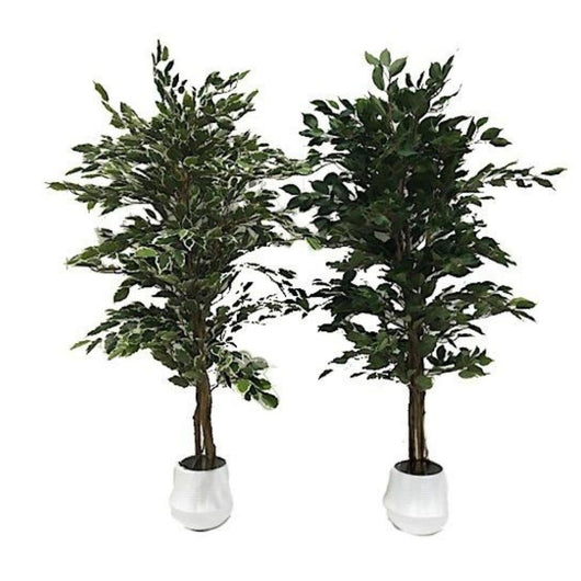 Ficus artificiale 180 x 1344 foglie