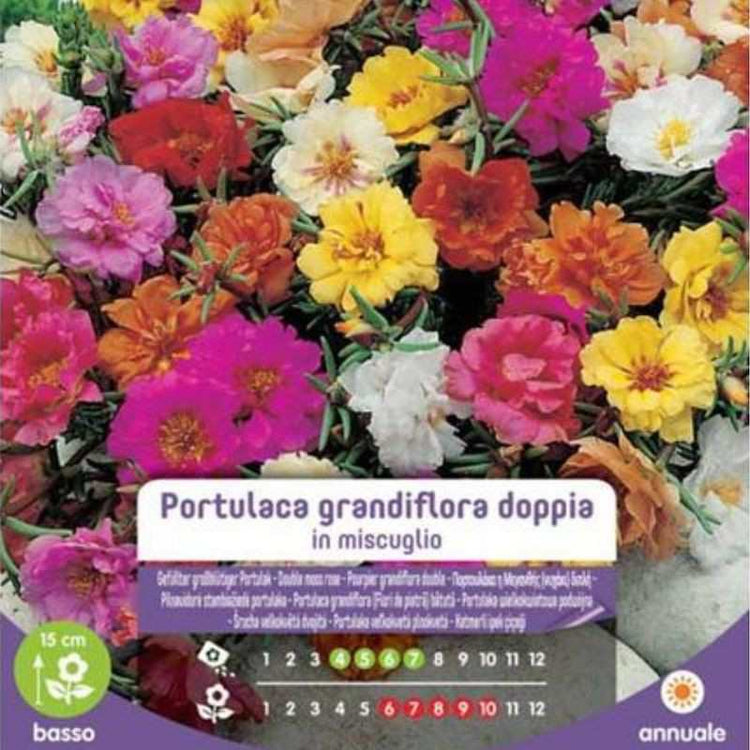 Semi Di Portulaca Grandiflora Doppia In Busta