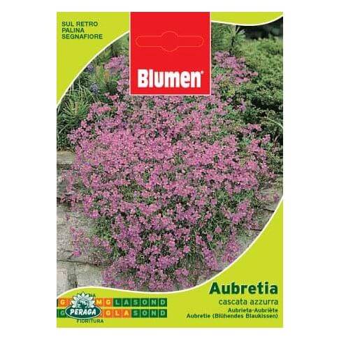 Bustina Con Semi Di Aubretia Cascata Azzurra