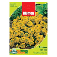 Bustina Con Semi Di Alisso Giallo Nano Cesta D\'Oro