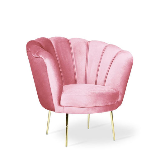 Poltrona a conchiglia rosa 70x70x76 cm