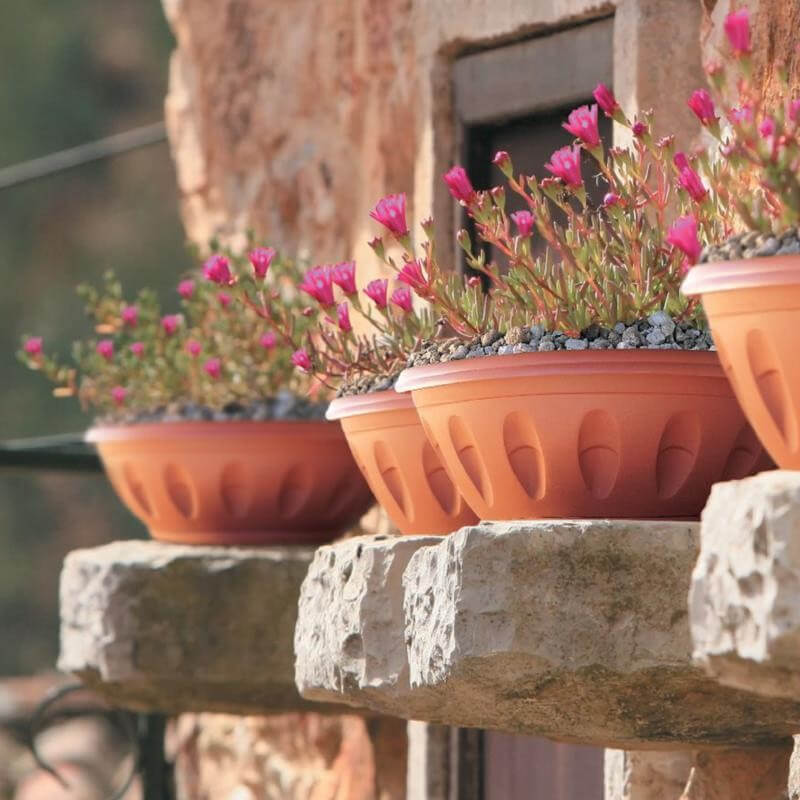 Vaso Ciotola In Resina Bama D30 Colore Terracotta Con Sottovaso