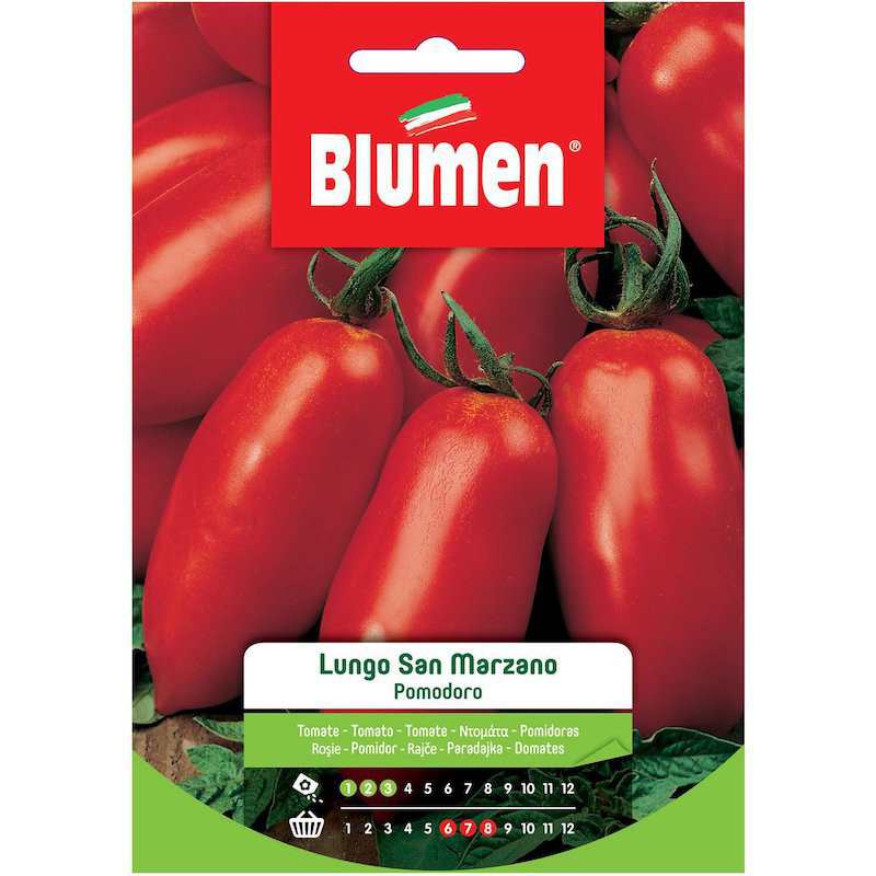 Semi Di Pomodoro Lungo San Marzano In Busta