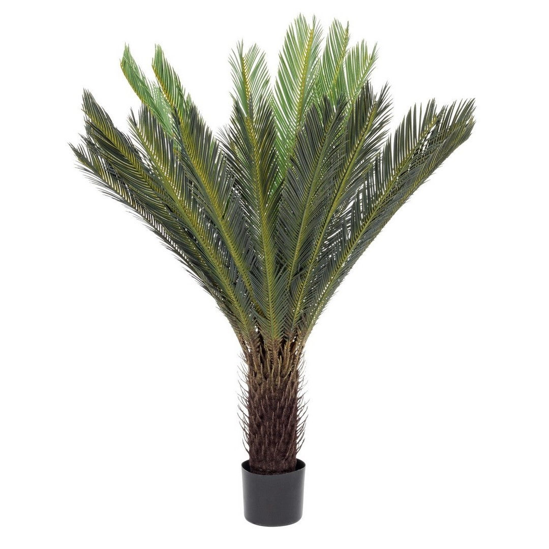 Plant with pot Palm Cycas 28 leaves 120h cm