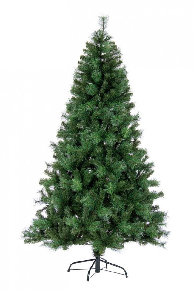 Albero Cermis H270-1746Rami