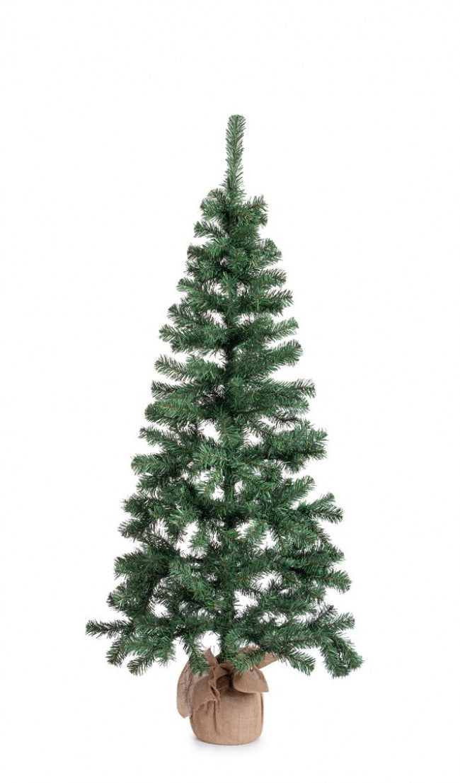 Albero Cerano H165-287Rami