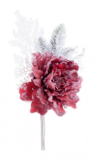 10x Pick Peonia Ginny Rosso Innevato