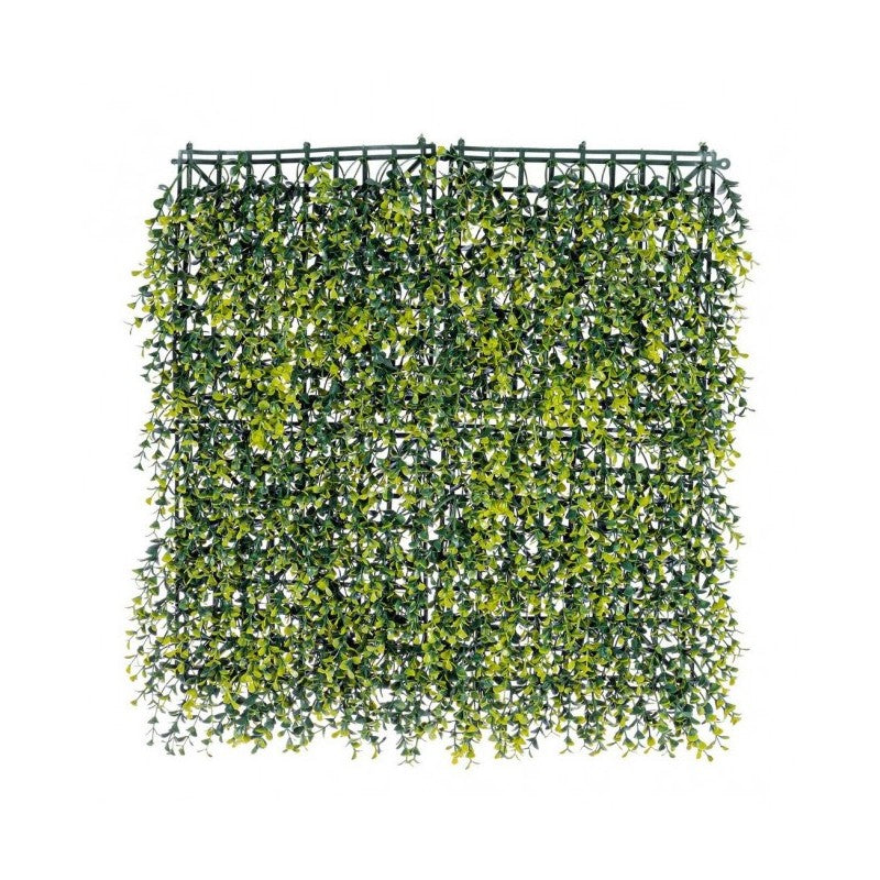 Parete sintetica Buxus Germogli in Polietilene 50x50 cm