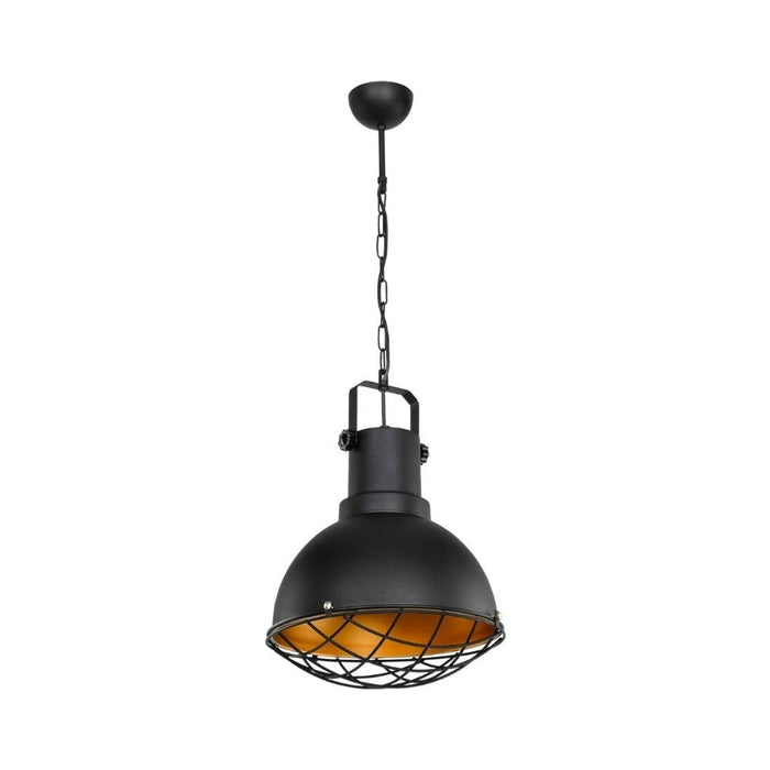 Lampada a sospensione Tonya ASZ1187 stile industriale nero EFFEZ