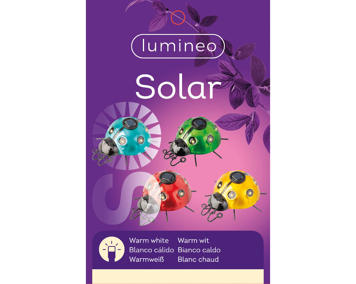 Insetto solare fisso 4 colori assortiti