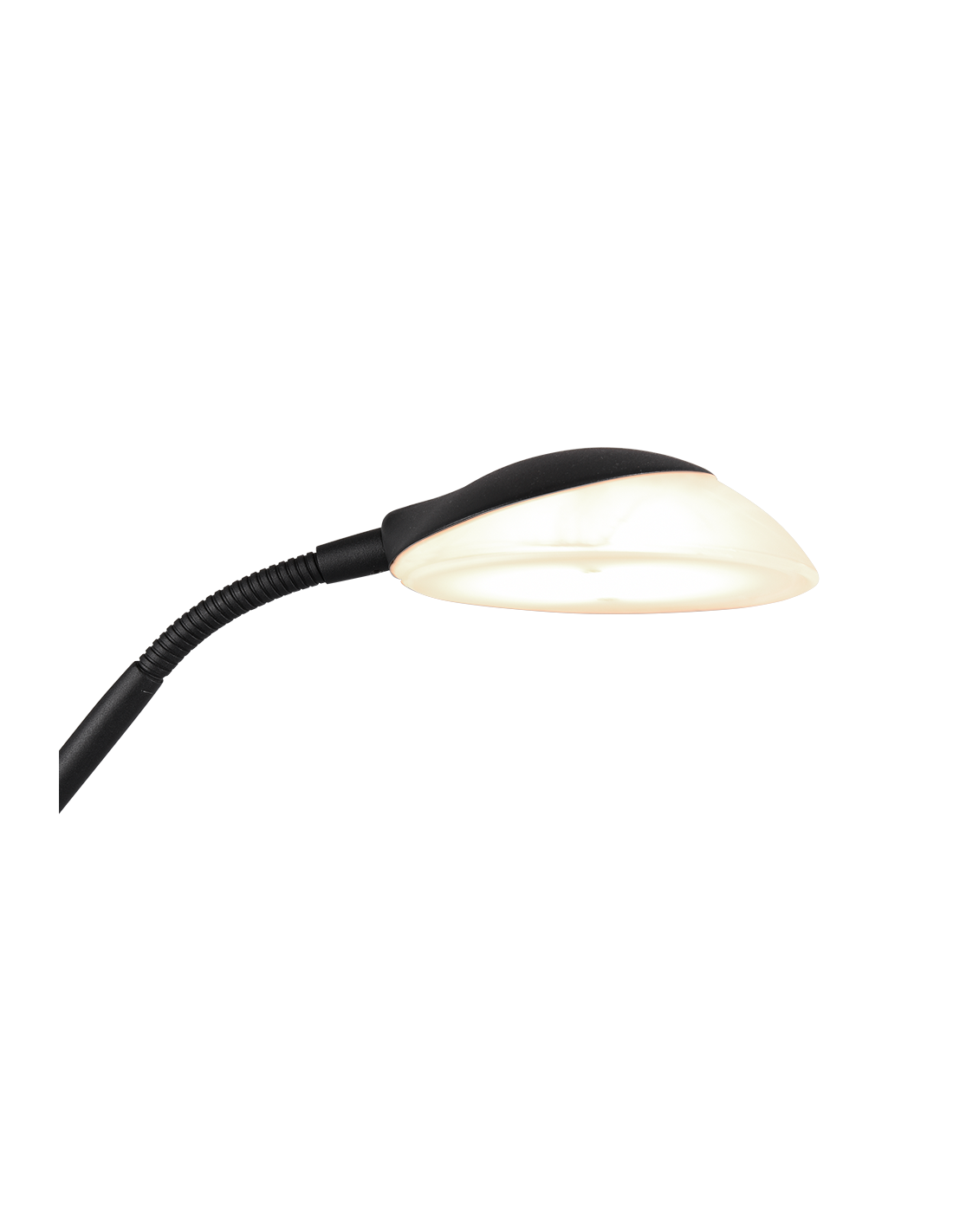 Piantana Led con Luce Spot da Lettura Orson Nero Trio Lighting