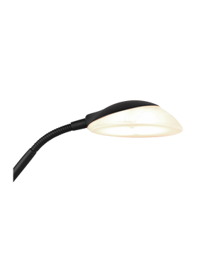 Piantana Led con Luce Spot da Lettura Orson Nero Trio Lighting