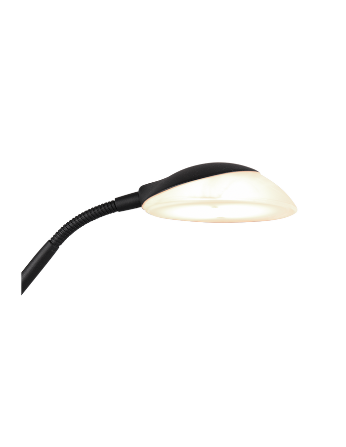 Piantana Led con Luce Spot da Lettura Orson Nero Trio Lighting