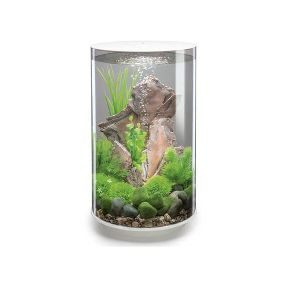 Oase acquario luminoso biorb tube 30 litri colore bianco con luci a led bianchi