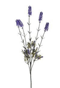 Set 8 Lavanda con 5 Fiori H 79 cm