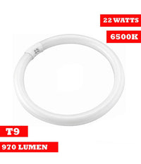 Lampada Luce Neon Circolare Fredda T9 Risparmio Energetico Fluorescente 22 Watt         