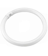 Lampada Luce Neon Circolare Fredda T9 Risparmio Energetico Fluorescente 22 Watt         