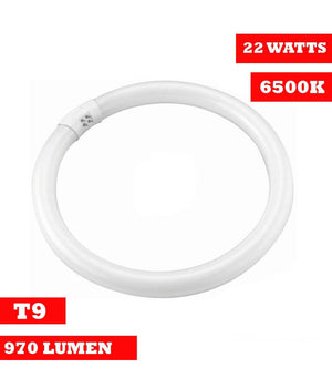 Lampada Luce Neon Circolare Fredda T9 Risparmio Energetico Fluorescente 22 Watt         