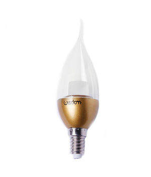 Lampadina Led Colpo Vento E14 Da 4w Luce Freddo Naturale Caldo         