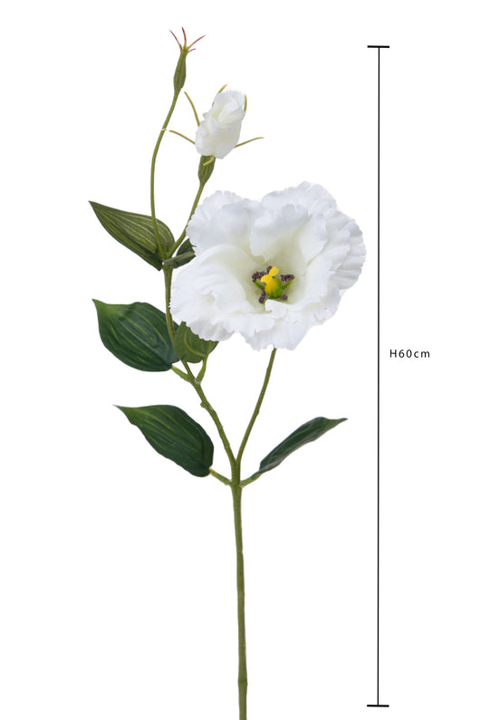 Set 12 Rami Artificiali Lisianthus 2 Fiori H 60 cm