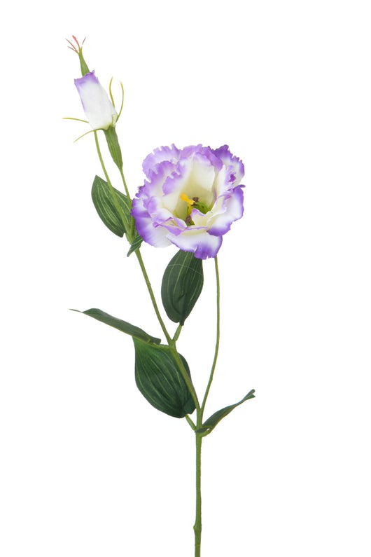 Set 12 Rami Artificiali Lisianthus 2 Fiori H 60 cm