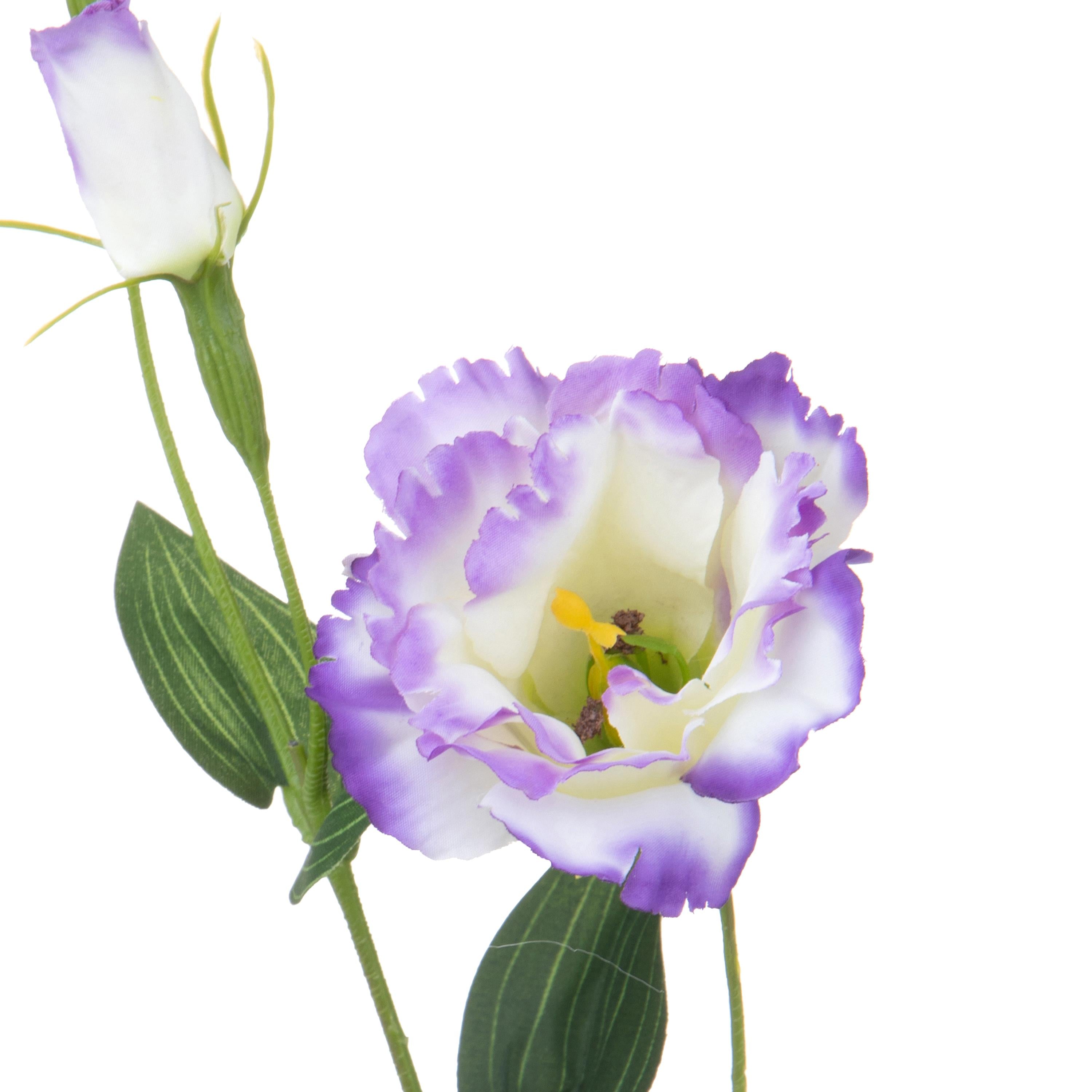 Set 12 Rami Artificiali Lisianthus 2 Fiori H 60 cm